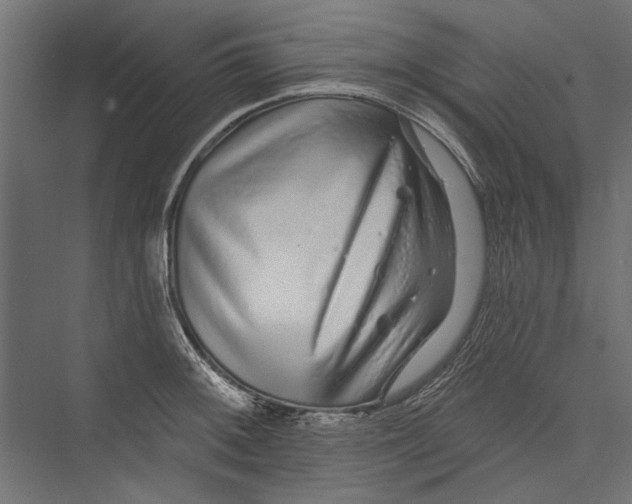 X0000075341092200610061648