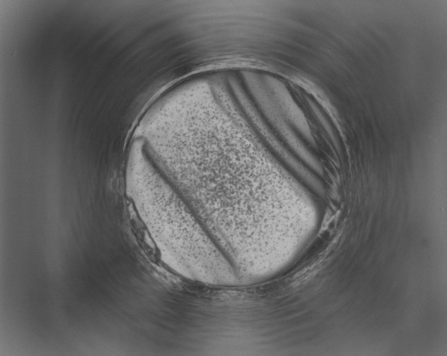 X0000075341097200610061648