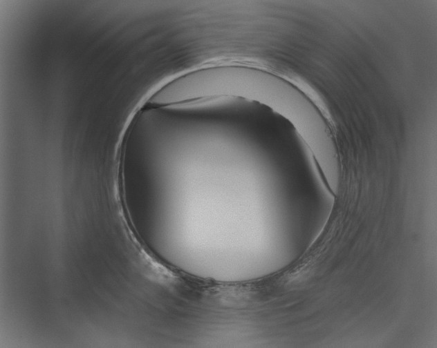 X0000075341102200610061648