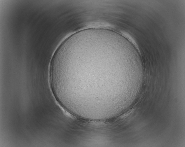 X0000075341103200610061648