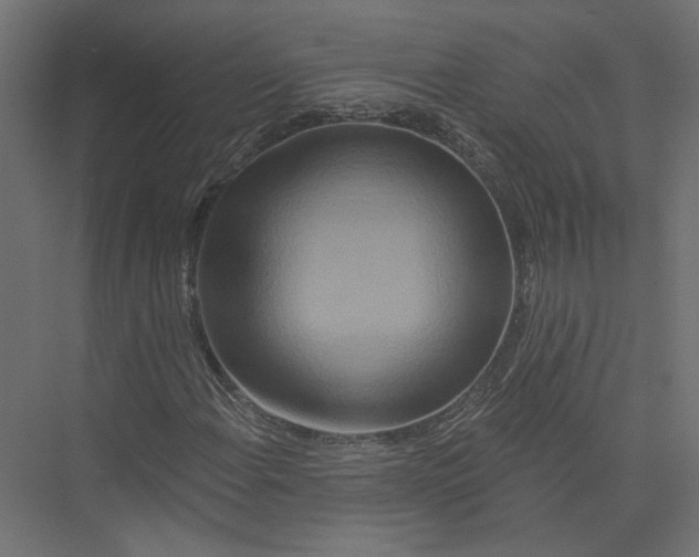 X0000075341108200610061647