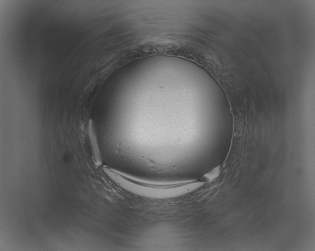 X0000075341109200610061647