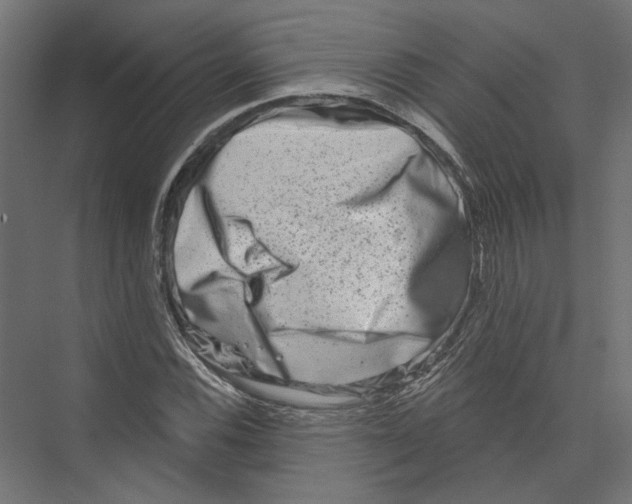 X0000075341116200610061647