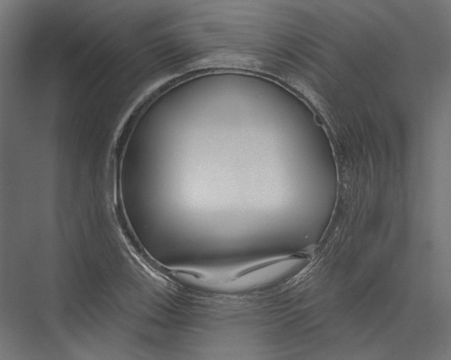 X0000075341123200610061648