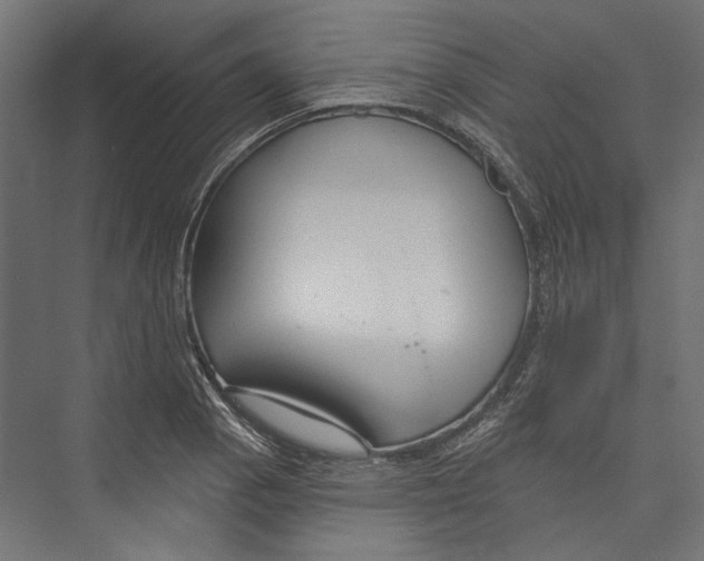 X0000075341129200610061648