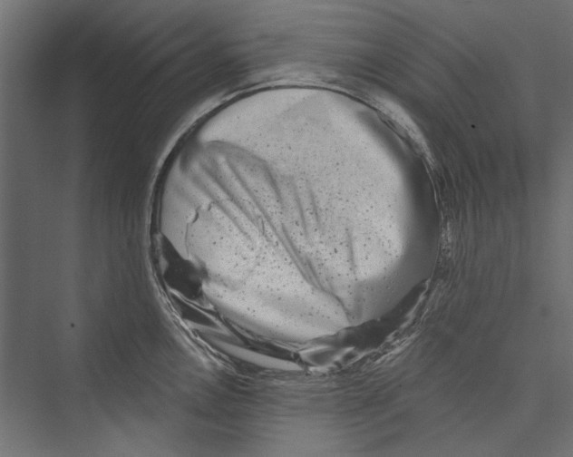 X0000075341146200610061648
