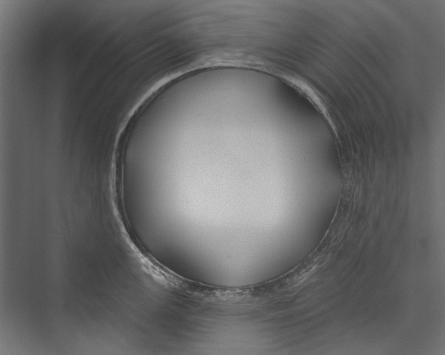 X0000075341147200610061648