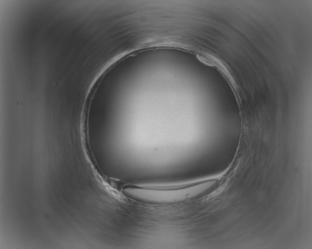 X0000075341149200610061648