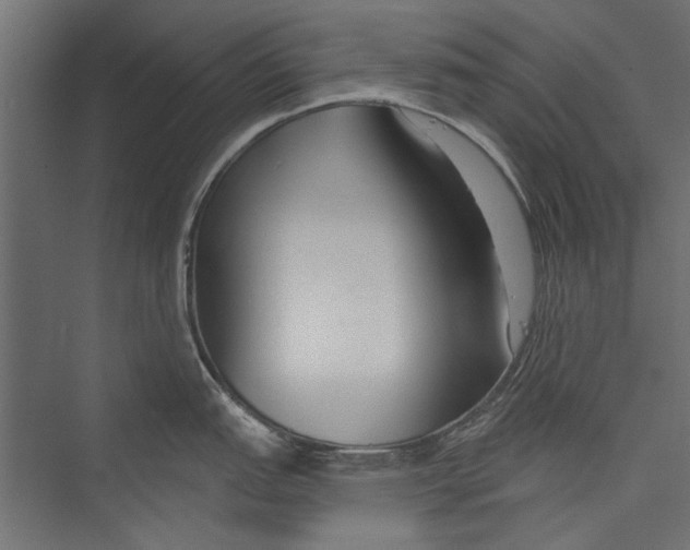 X0000075341151200610061648