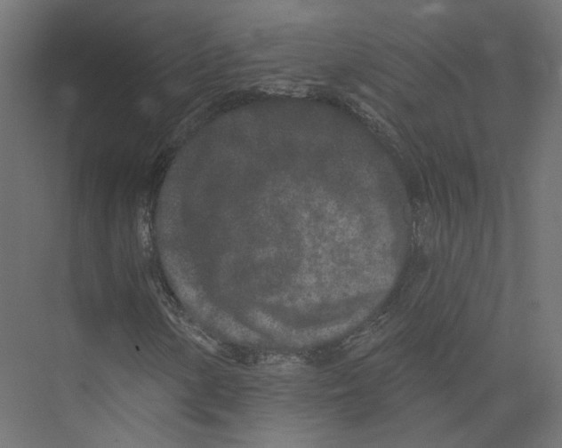 X0000075341154200610061647