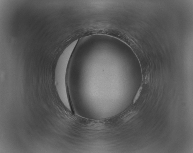 X0000075341156200610061647