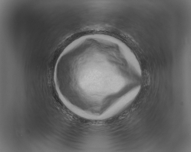 X0000075341158200610061647