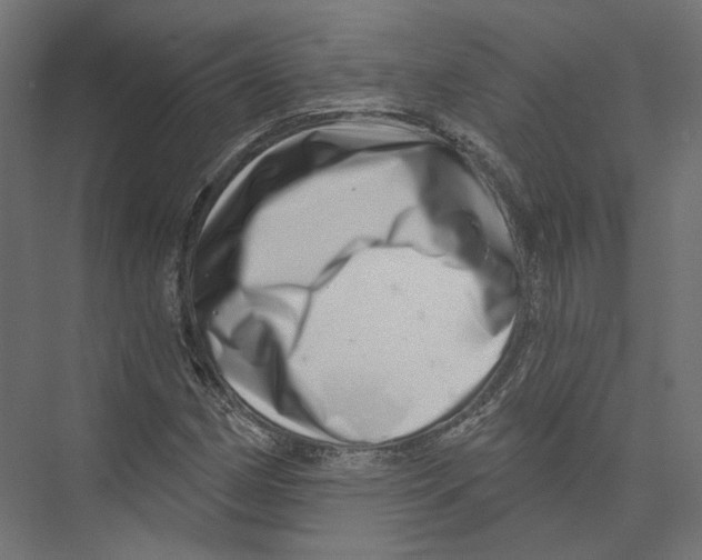 X0000075341162200610061647
