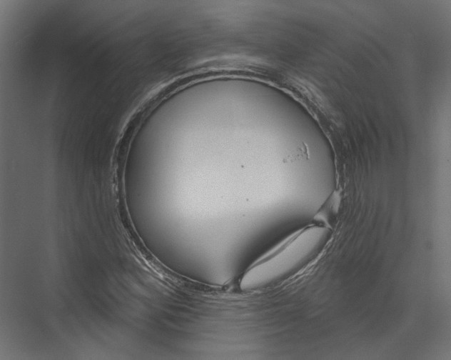 X0000075341164200610061647