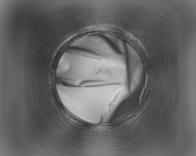 X0000075341166200610061647