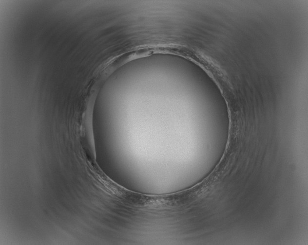 X0000075341169200610061647