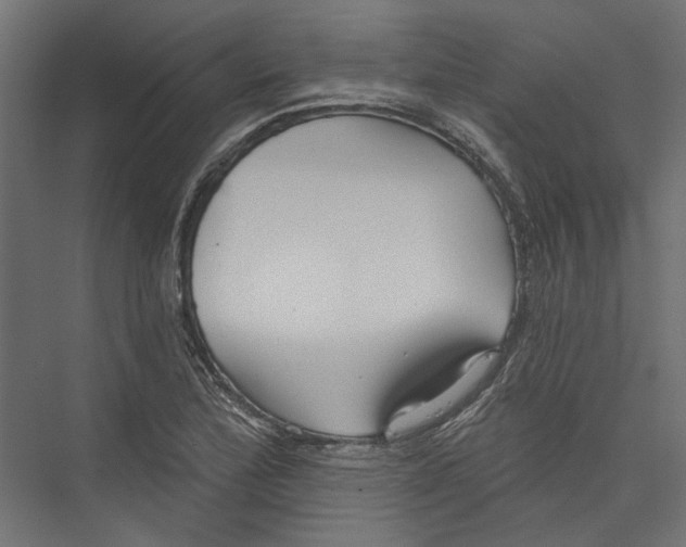 X0000075341172200610061647