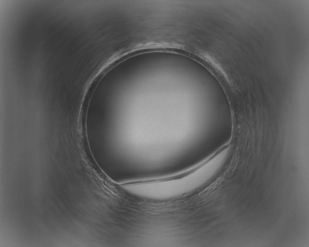 X0000075341173200610061647
