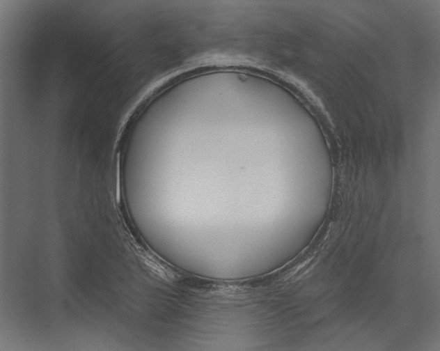 X0000075341175200610061647