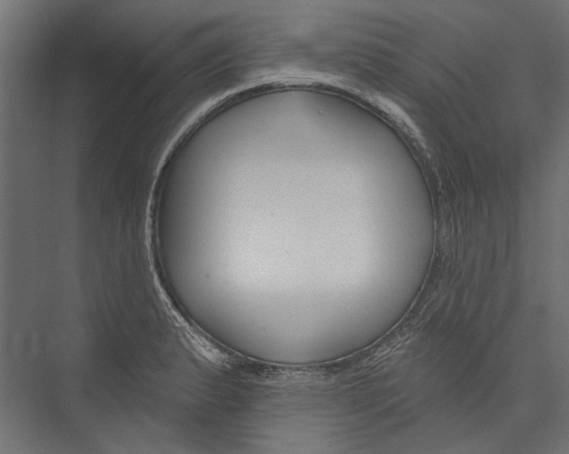 X0000075341183200610061647