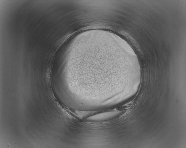 X0000075341185200610061647