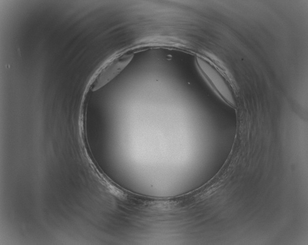 X0000075341188200610061647