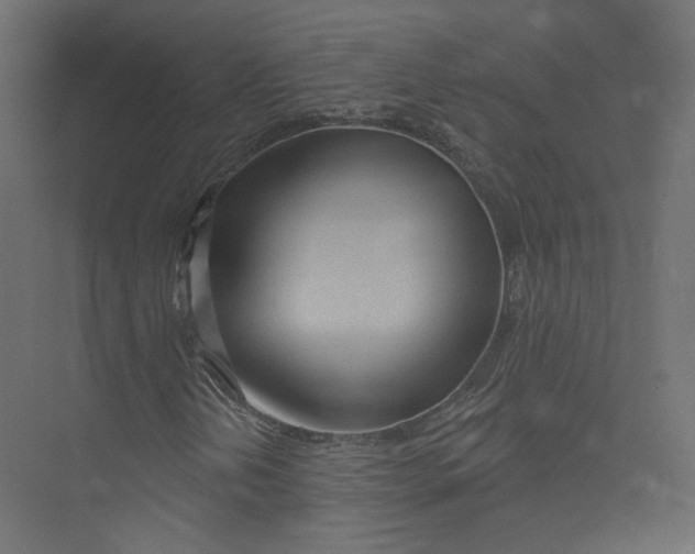 X0000075341202200610061646