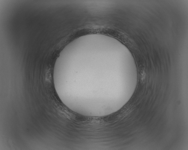 X0000075341204200610061646