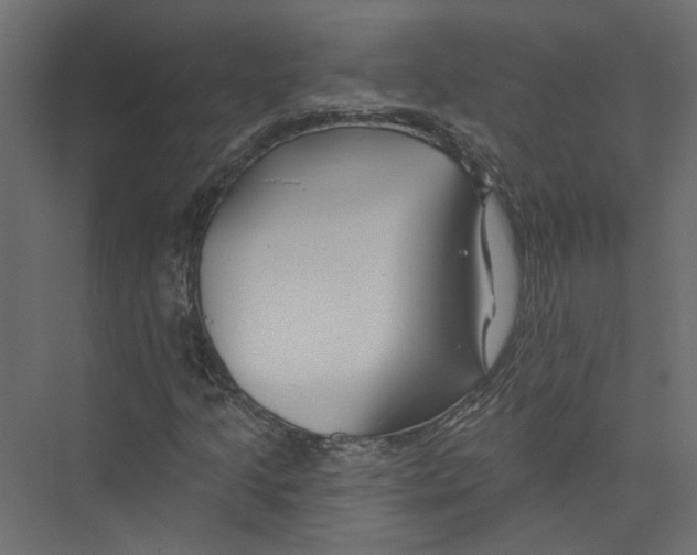 X0000075341205200610061646