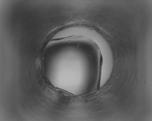 X0000075341206200610061646