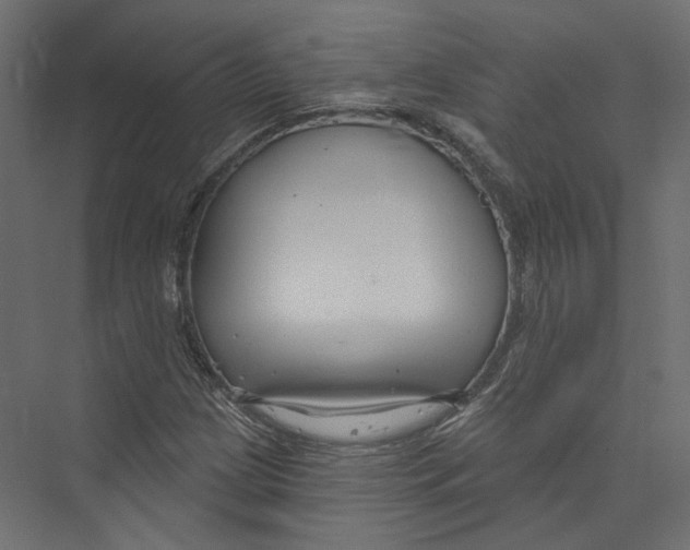 X0000075341209200610061646