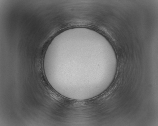 X0000075341211200610061646