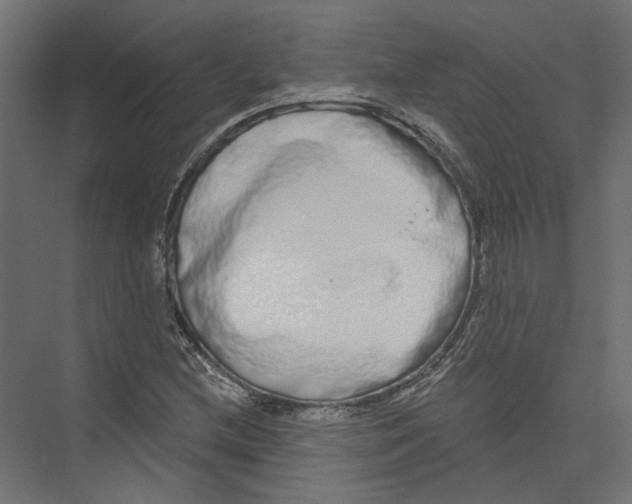 X0000075341212200610061646