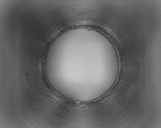 X0000075341217200610061646