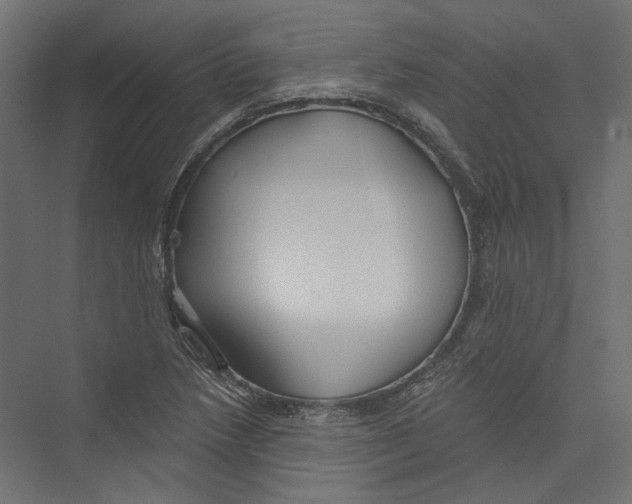 X0000075341218200610061646