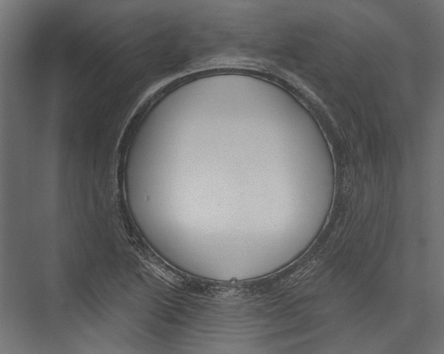 X0000075341222200610061646