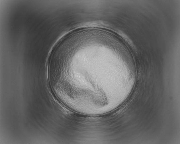 X0000075341224200610061646