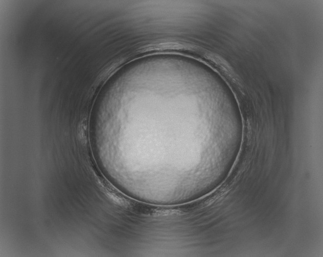 X0000075341225200610061646