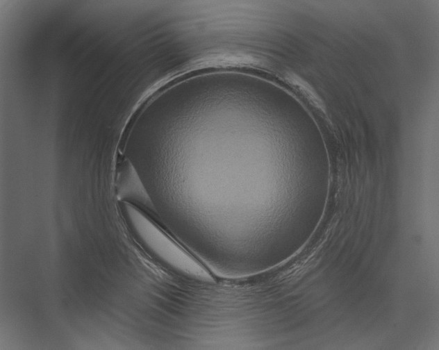 X0000075341226200610061646