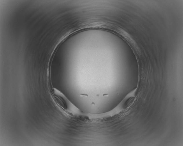 X0000075341234200610061646