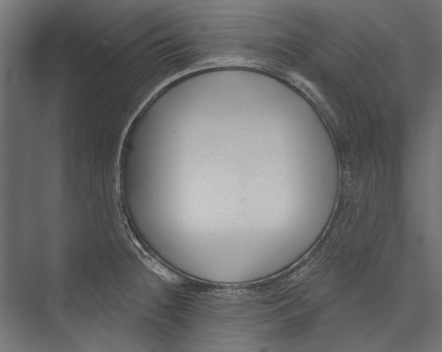 X0000075341236200610061646