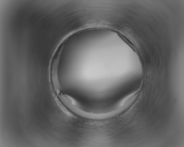 X0000075341246200610061646