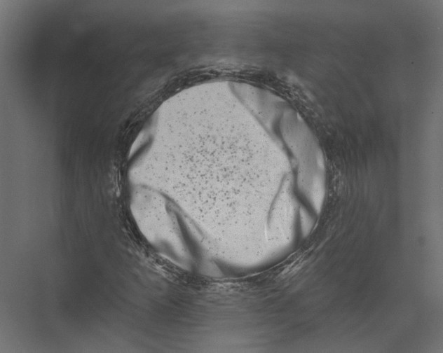 X0000075341253200610061646