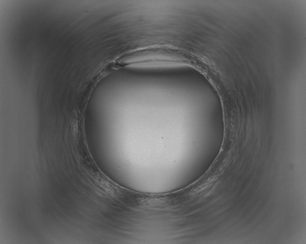 X0000075341257200610061646