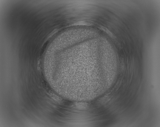 X0000075341258200610061646