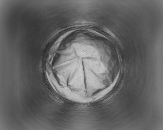 X0000075341259200610061645