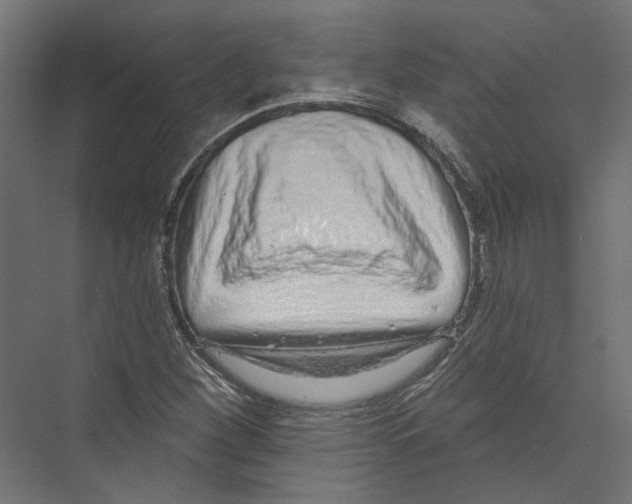 X0000075341260200610061645