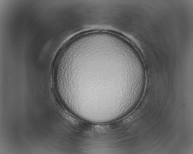 X0000075341271200610061645