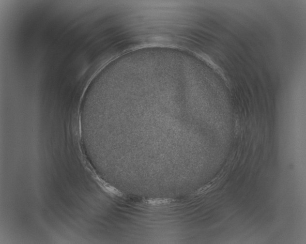 X0000075341274200610061645