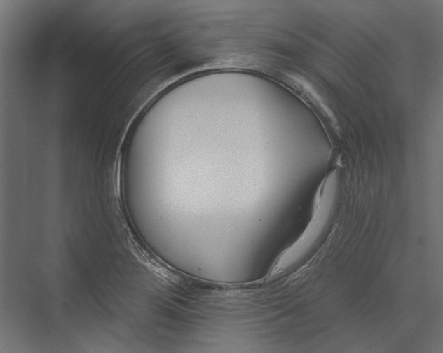 X0000075341276200610061645